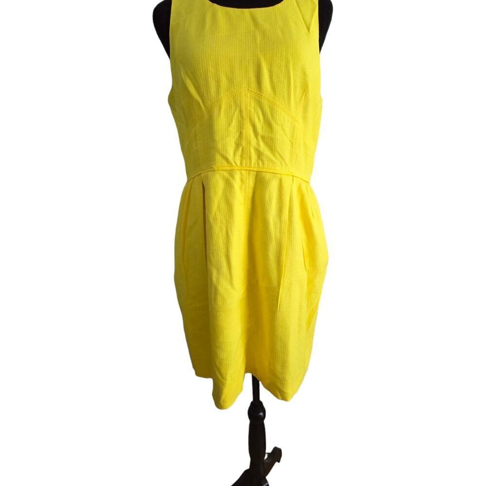 J. Crew Dress